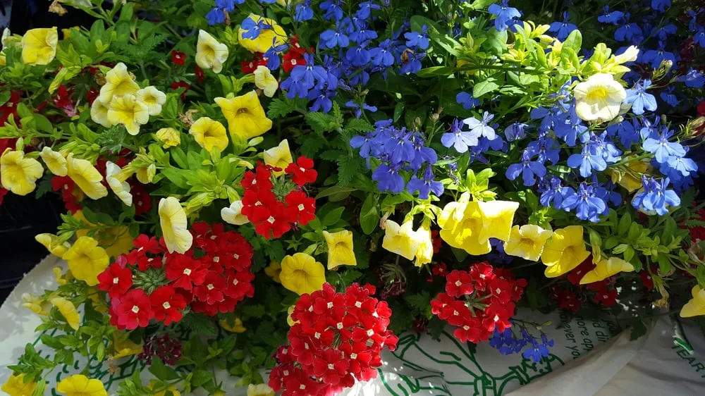 Expert yard maintenance experts serving Girard, OH - Patrone Bros Landscaping & Garden Center