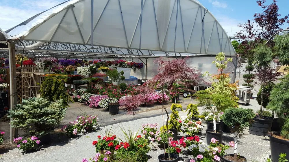 Reliable outdoor landscaping experts serving Girard, OH - Patrone Bros Landscaping & Garden Center