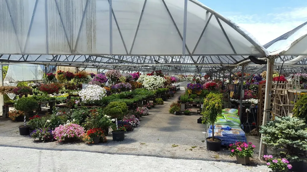 Professional residential landscaping for outdoor upgrades across Girard, OH - Patrone Bros Landscaping & Garden Center