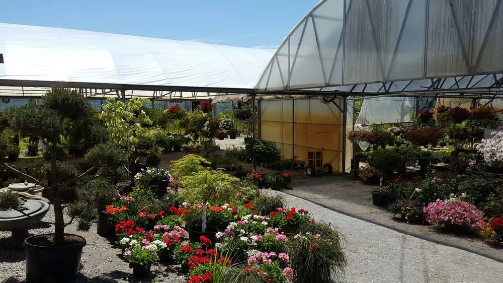 Local garden landscaping experts serving Girard, OH - Patrone Bros Landscaping & Garden Center