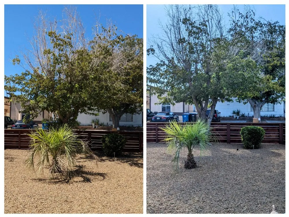 Top-rated residential landscaping experts serving Las Vegas, NV - Patrones Landscaping