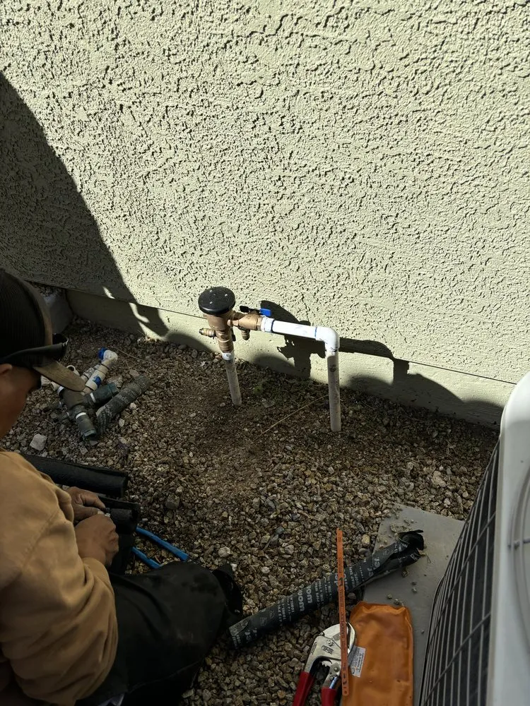 Affordable garden landscaping for year-round maintenance across Las Vegas, NV - Patrones Landscaping