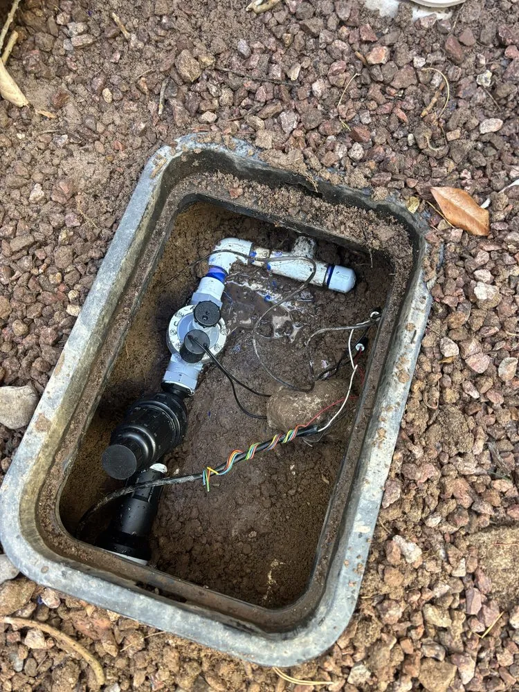 Trusted yard cleanup service for residential properties in Las Vegas, NV by Patrones Landscaping