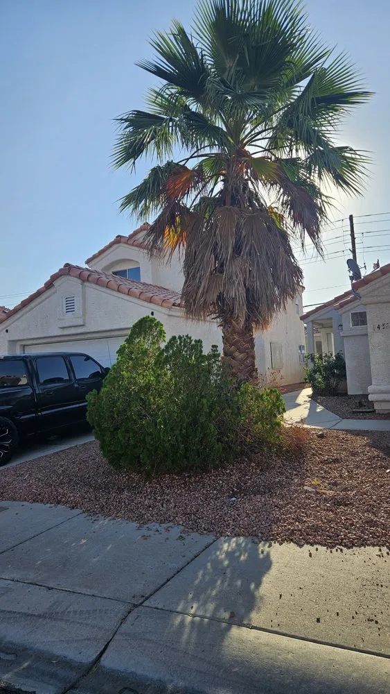 Affordable landscape design near you in Las Vegas, NV by Patrones Landscaping