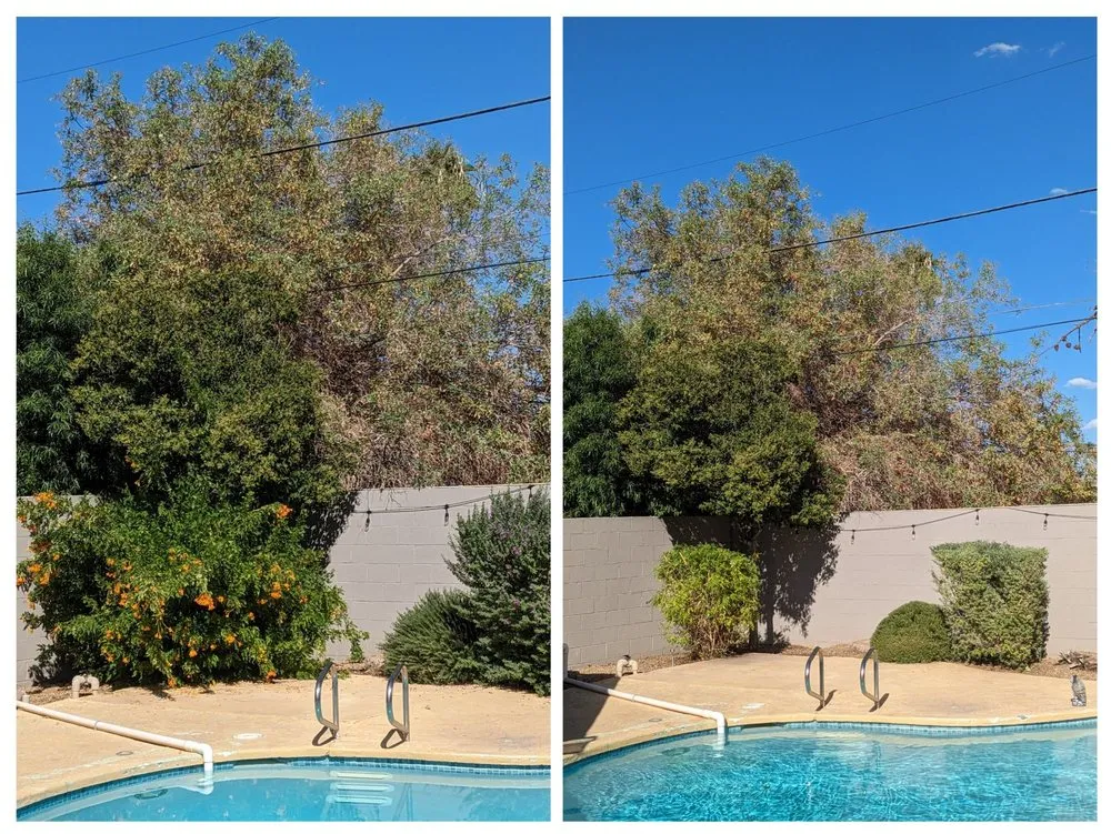 Trusted landscape design for residential properties across Las Vegas, NV - Patrones Landscaping