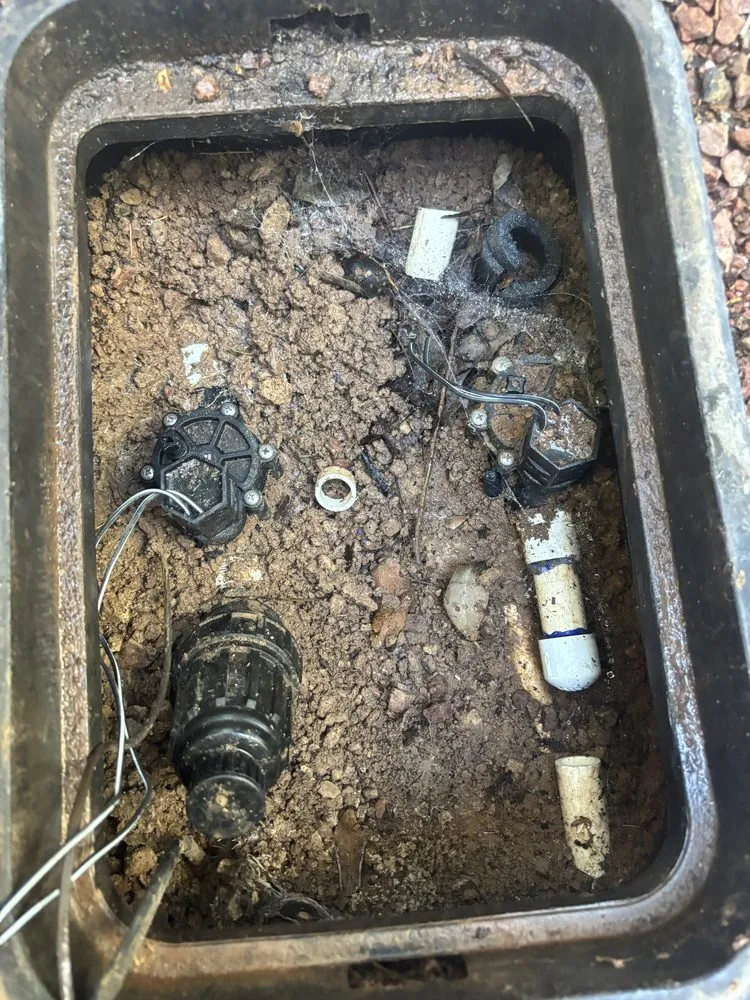 Affordable yard cleanup service for homes in Las Vegas, NV by Patrones Landscaping