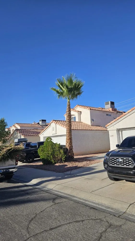 Reliable garden landscaping for beautiful yards across Las Vegas, NV - Patrones Landscaping