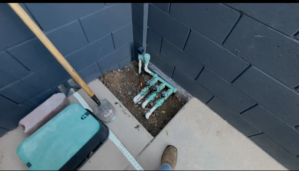 Professional yard cleanup service in Las Vegas, NV by Patrones Landscaping