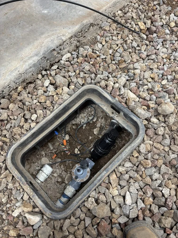 Professional landscaping services for beautiful yards in Las Vegas, NV by Patrones Landscaping