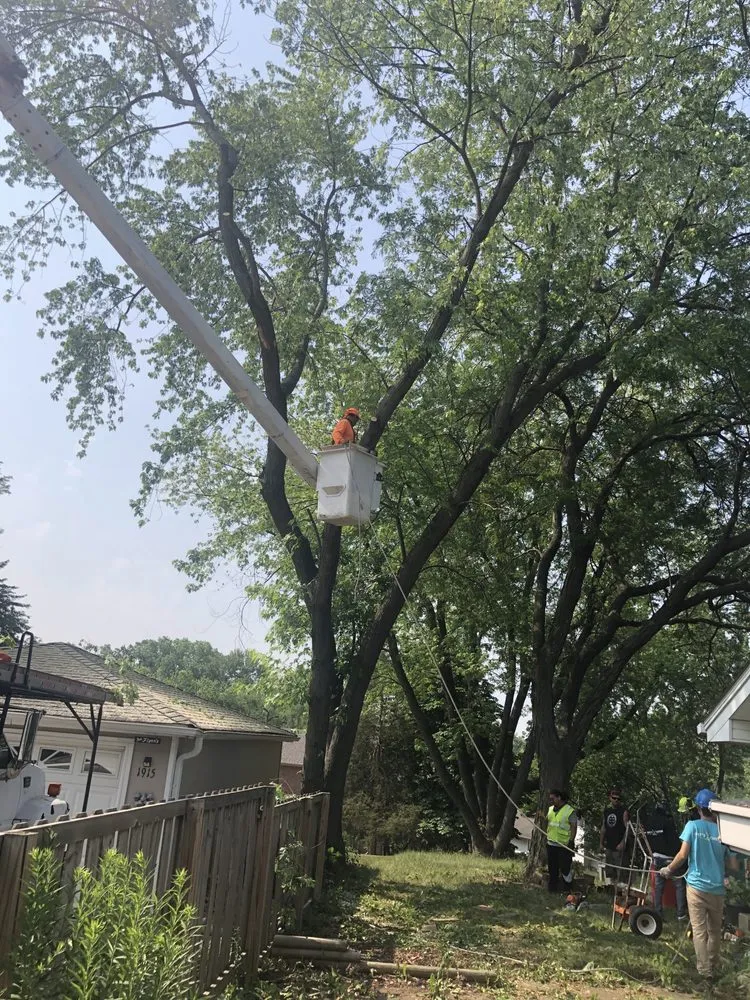 Reliable lawn mowing service for outdoor upgrades across Palatine, IL - Pat's Custom Lawn Care and Snow Removal Services