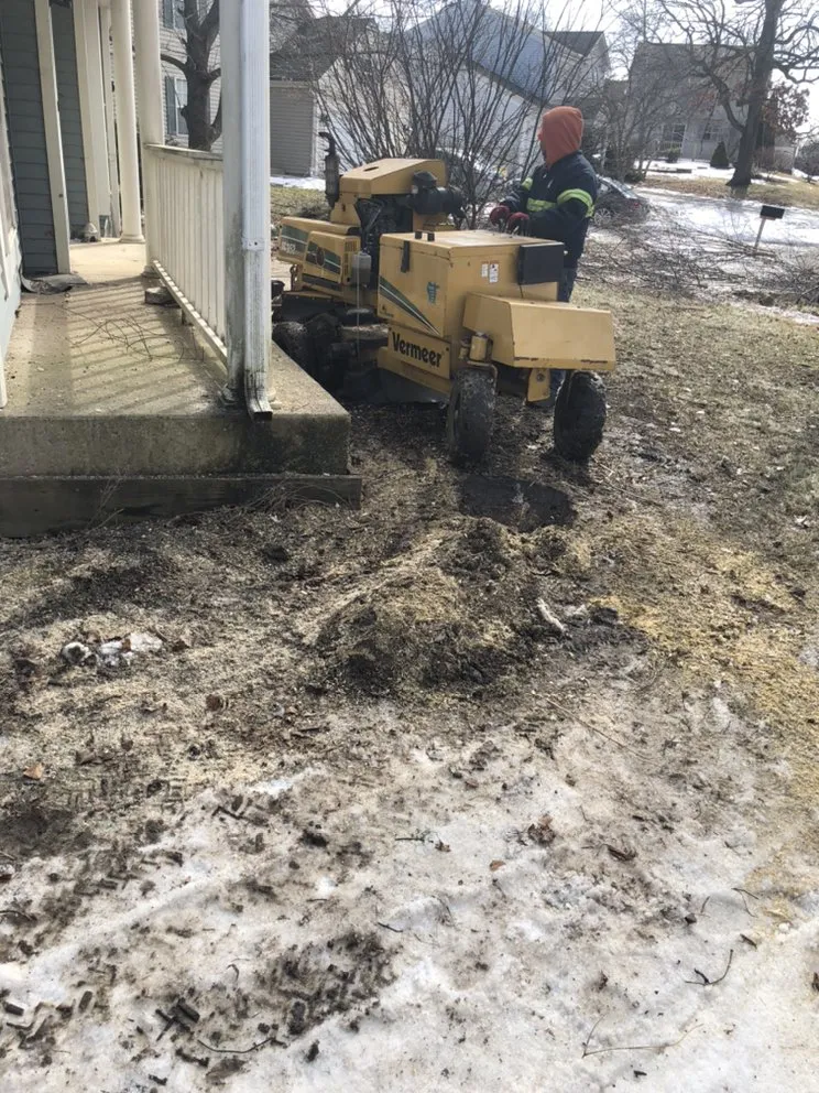 Professional yard maintenance in Palatine, IL - Pat's Custom Lawn Care and Snow Removal Services