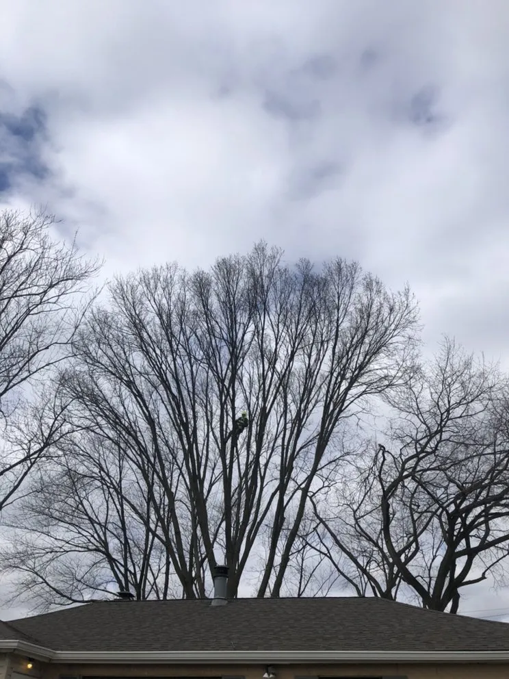 Affordable outdoor landscaping for outdoor upgrades in Palatine, IL by Pat's Custom Lawn Care and Snow Removal Services