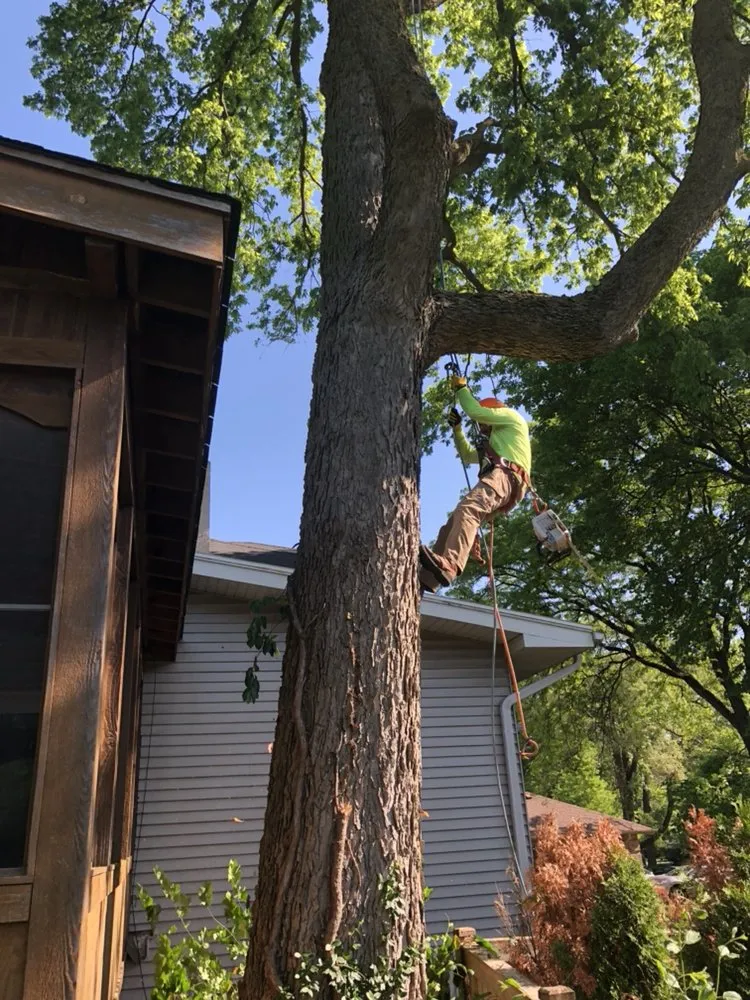 Expert lawn mowing service in Palatine, IL - Pat's Custom Lawn Care and Snow Removal Services