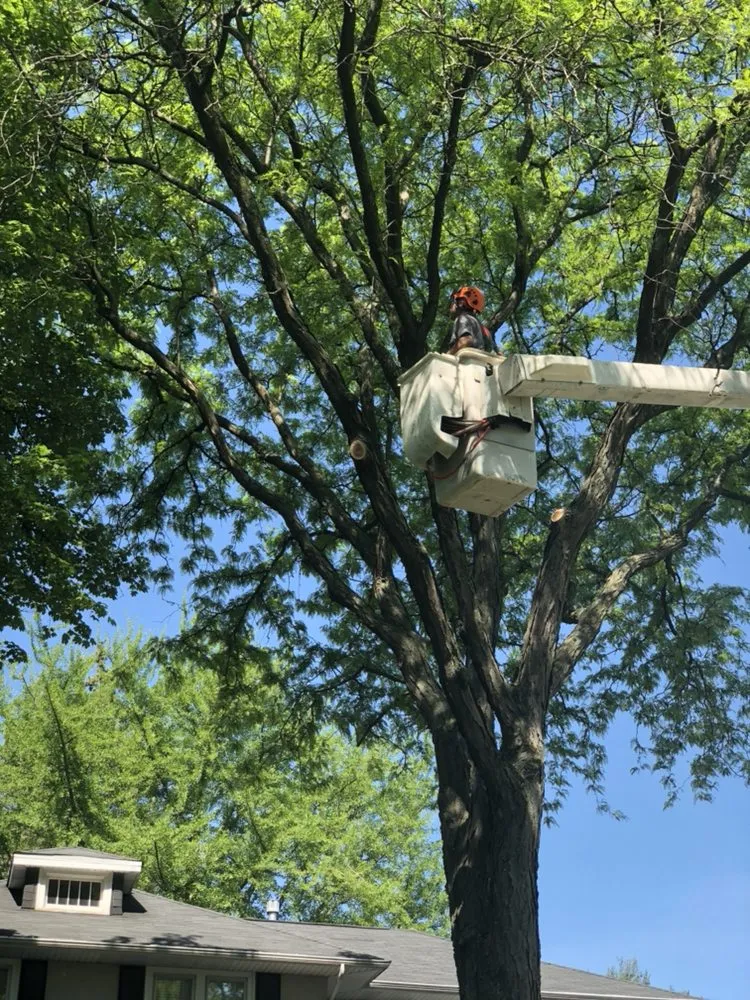 Custom lawn mowing service for year-round maintenance in Palatine, IL by Pat's Custom Lawn Care and Snow Removal Services