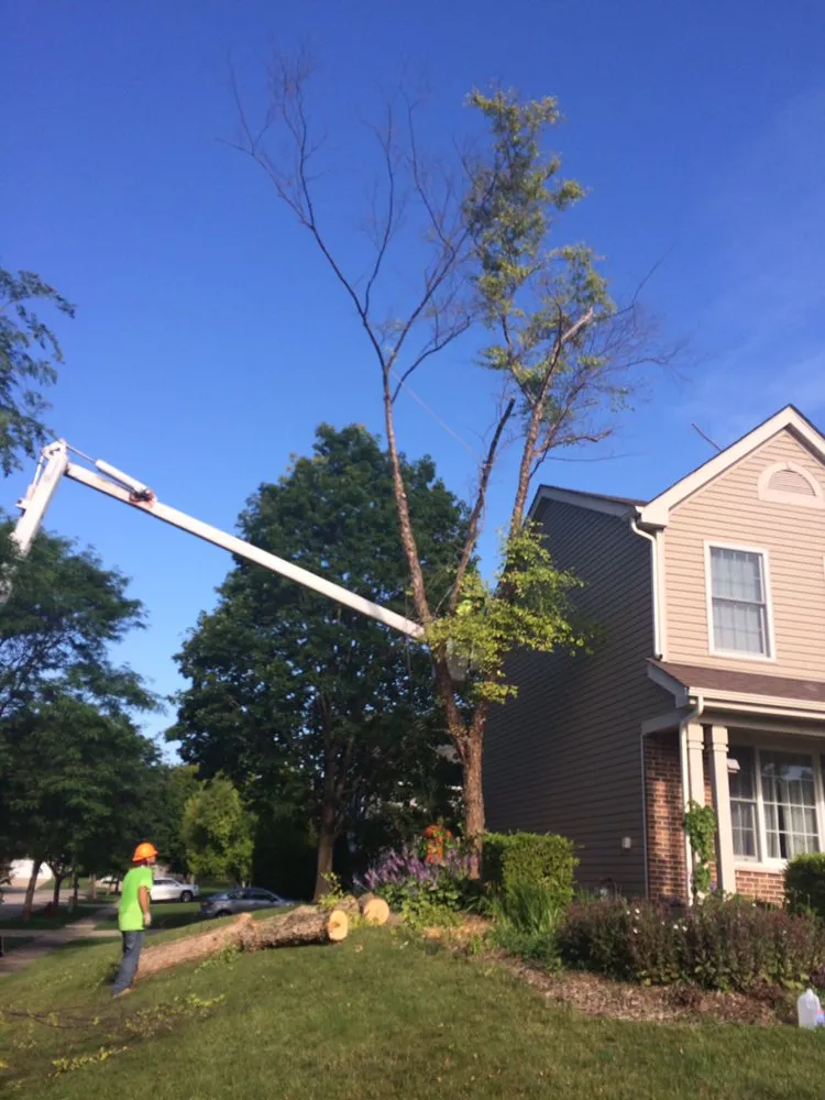 Affordable landscape design with custom design across Palatine, IL - Pat's Custom Lawn Care and Snow Removal Services