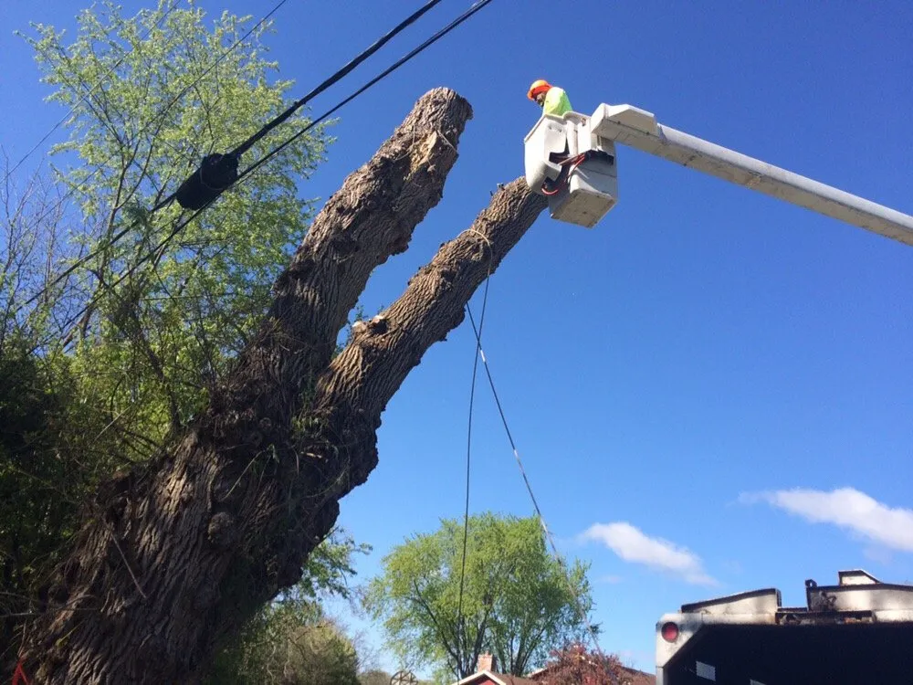 Affordable landscape design for outdoor upgrades in Palatine, IL by Pat's Custom Lawn Care and Snow Removal Services