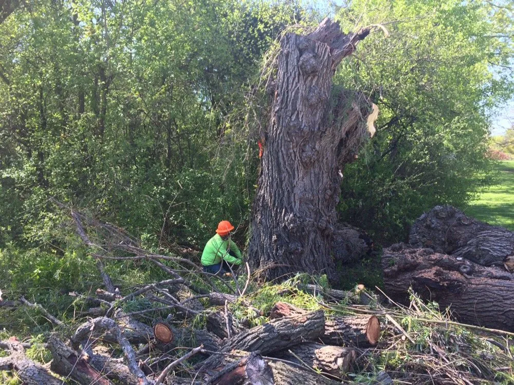 Professional garden landscaping for residential properties across Palatine, IL - Pat's Custom Lawn Care and Snow Removal Services