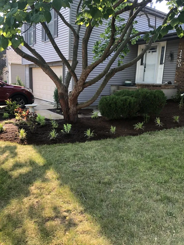 Expert yard maintenance in Palatine, IL by Pat's Custom Lawn Care and Snow Removal Services