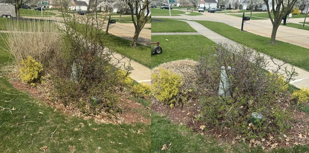 Expert yard maintenance experts serving Parma Heights, OH - Pat’s Grass & More