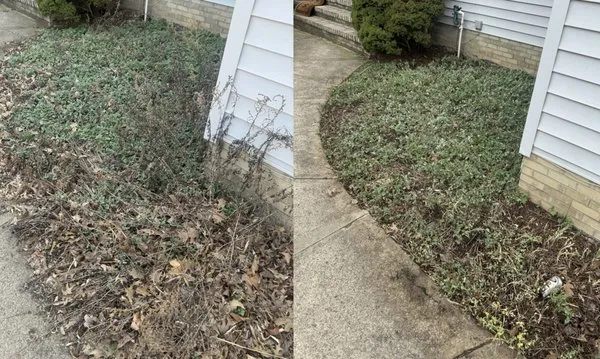 Pat’s Grass & More