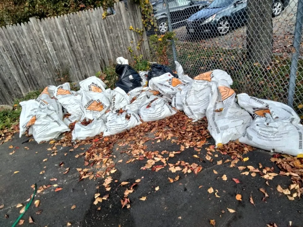 Affordable landscape installation for outdoor upgrades across Boston, MA - Pats Landscaping & Junk Removal