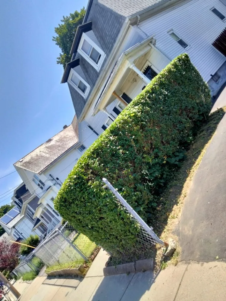 Custom yard cleanup service in Boston, MA by Pats Landscaping & Junk Removal