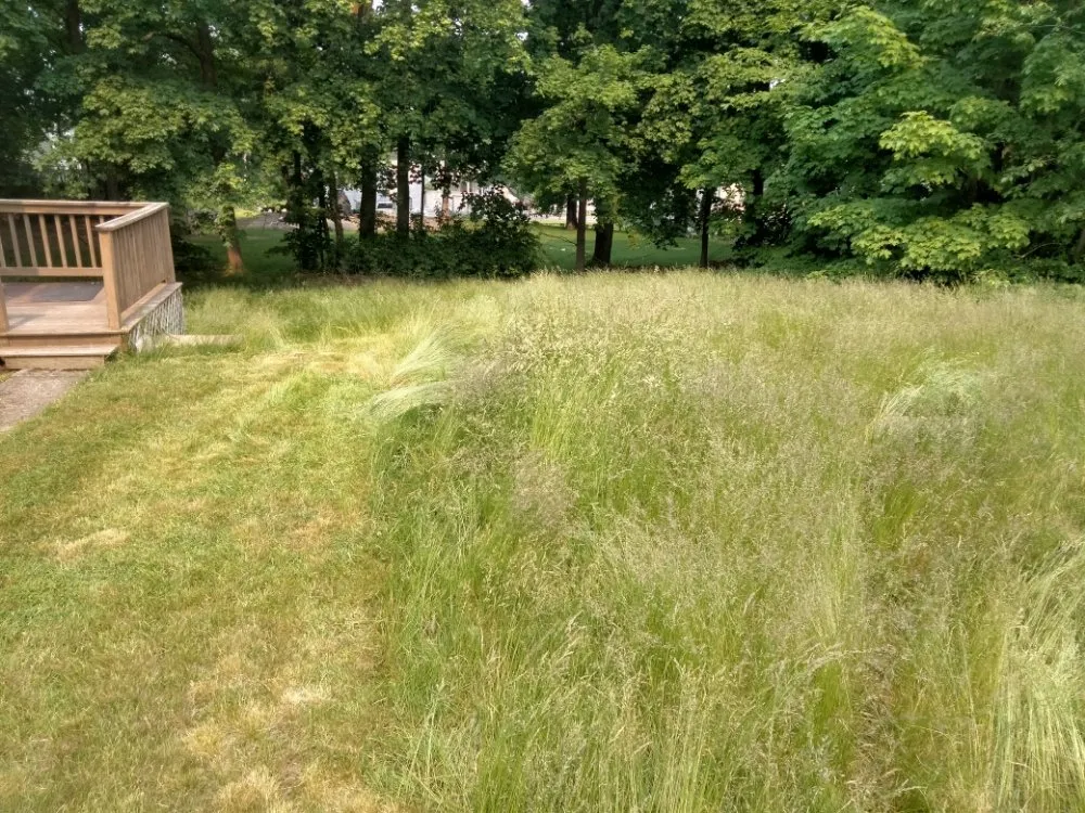 Expert residential landscaping in Boston, MA by Pats Landscaping & Junk Removal