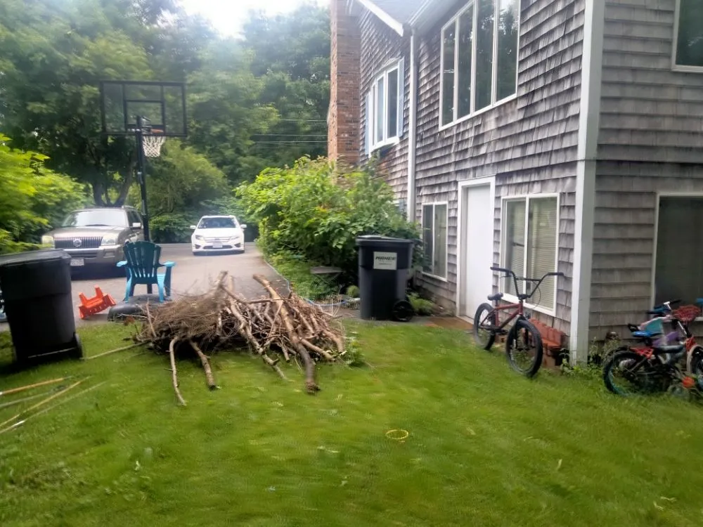 Professional yard cleanup service experts serving Boston, MA - Pats Landscaping & Junk Removal