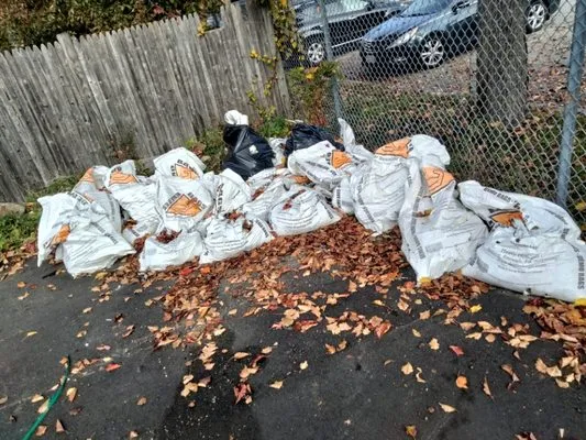 Pats Landscaping & Junk Removal Logo