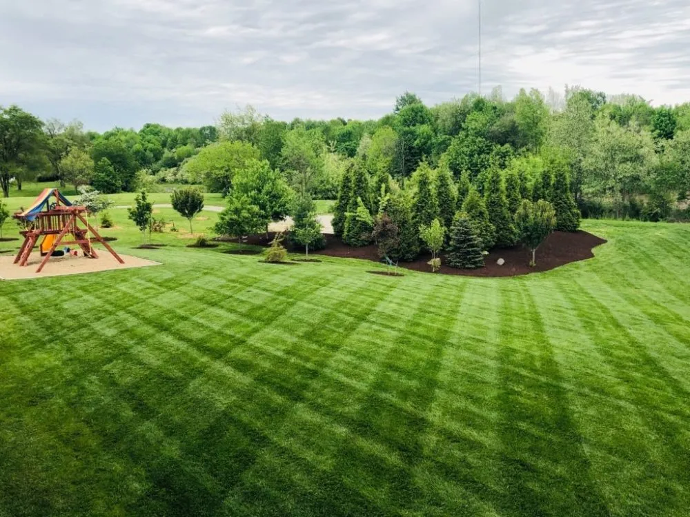 Top-rated yard cleanup service for outdoor upgrades in Winston-Salem, NC by Pats Lawn Care