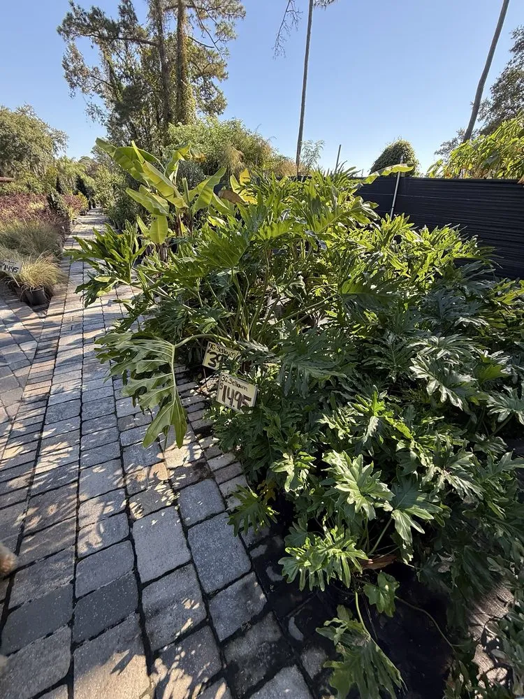 Reliable lawn care service near you across Fleming Island, FL - Pat's Nursery