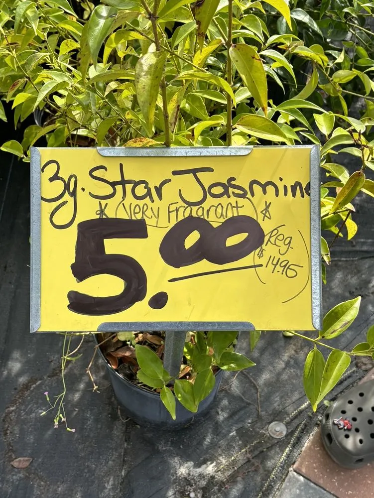 Trusted yard maintenance experts serving Fleming Island, FL - Pat's Nursery