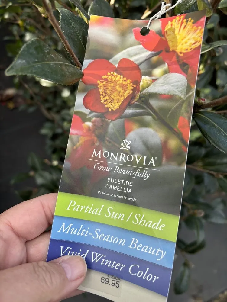 Affordable landscape installation experts serving Fleming Island, FL - Pat's Nursery