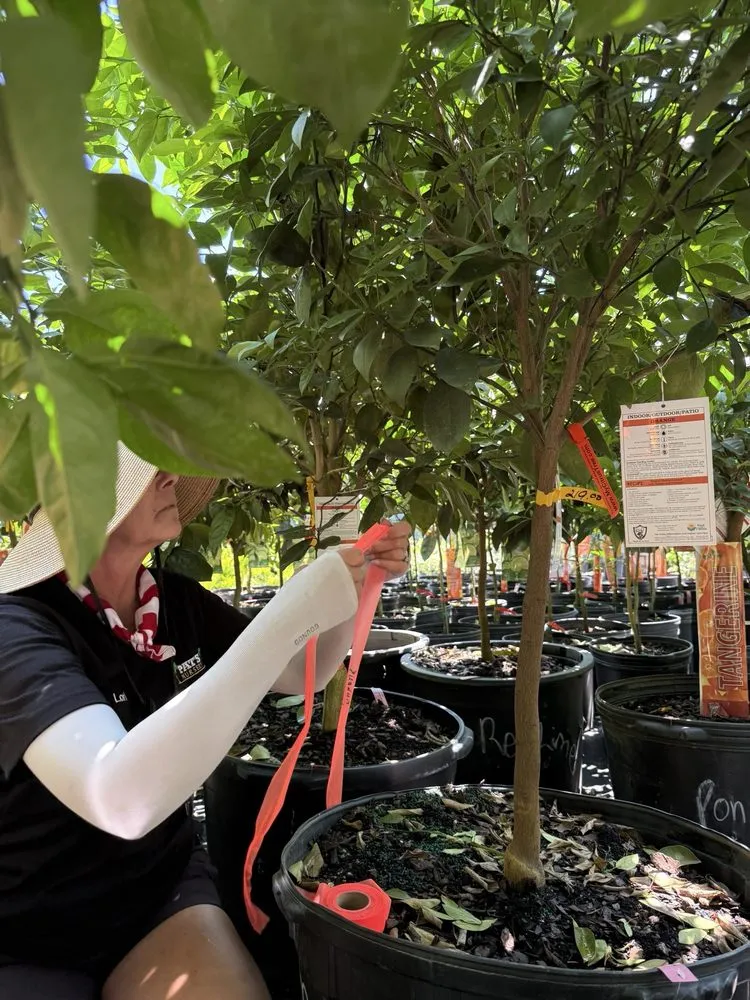 Trusted landscape design in Fleming Island, FL by Pat's Nursery