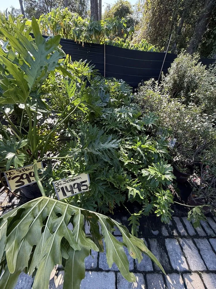 Trusted outdoor landscaping for beautiful yards across Fleming Island, FL - Pat's Nursery