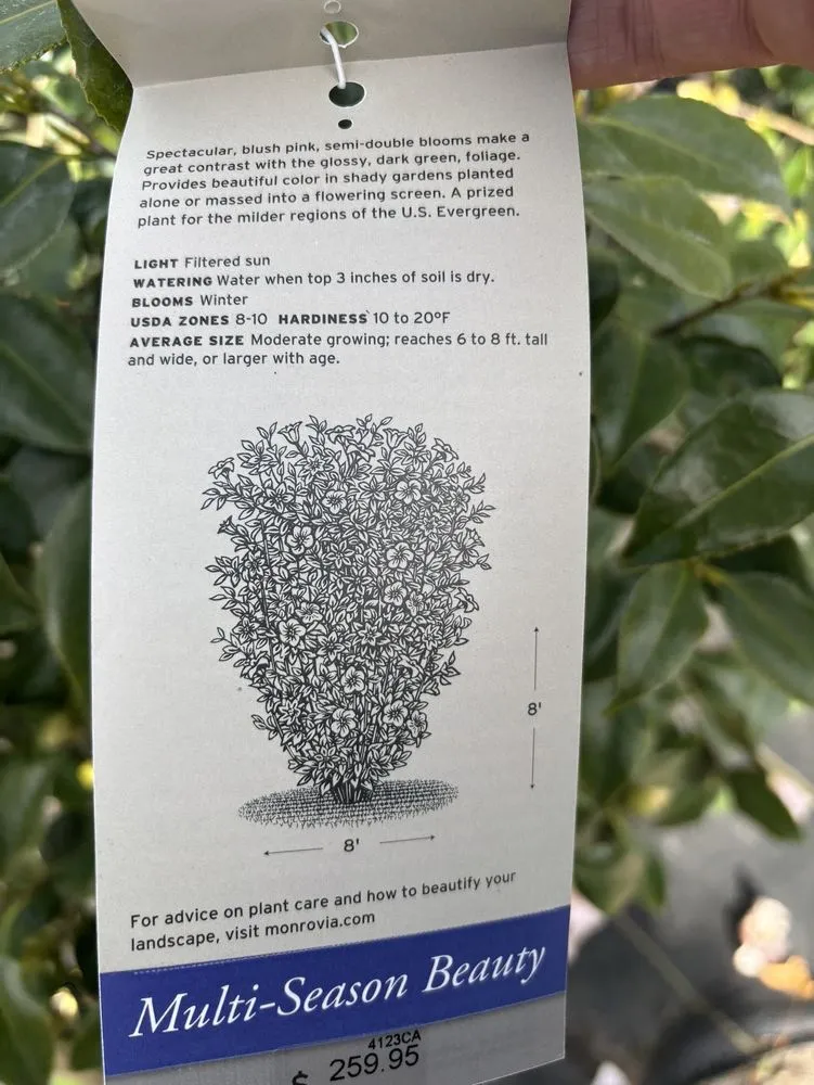 Reliable yard maintenance in Fleming Island, FL - Pat's Nursery