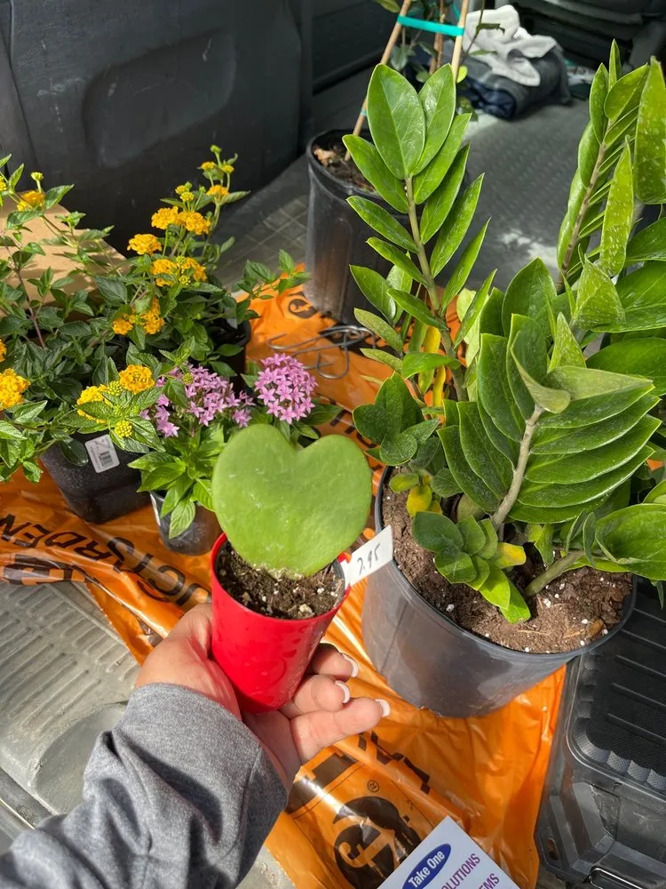 Trusted lawn care service with custom design in Fleming Island, FL by Pat's Nursery