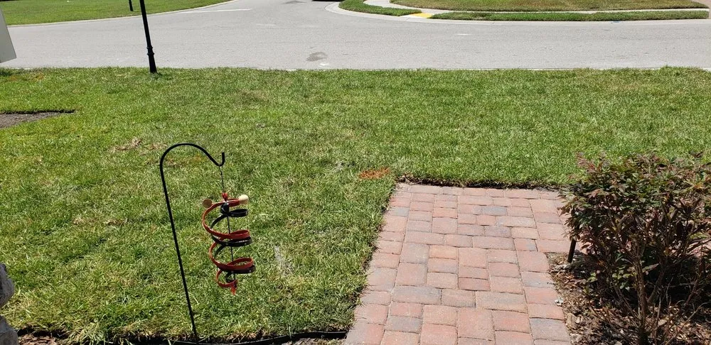 Professional lawn mowing service with custom design in Tampa, FL by Pats Sod Service