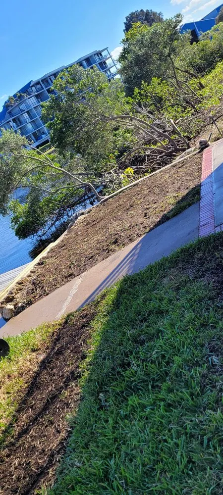 Professional landscape installation in Tampa, FL - Pats Sod Service