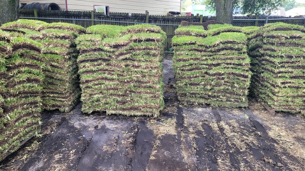 Affordable residential landscaping near you across Tampa, FL - Pats Sod Service