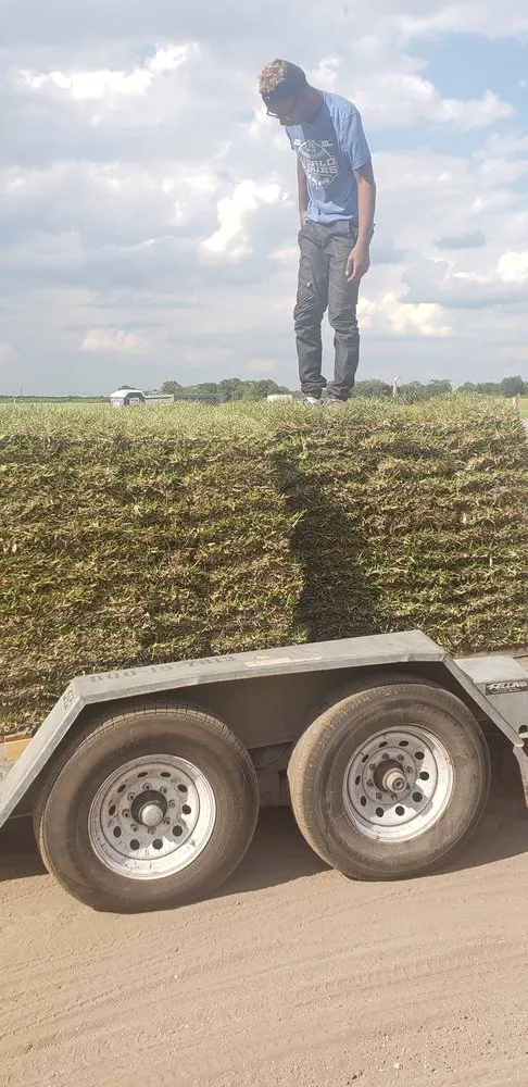 Local landscape installation experts serving Tampa, FL - Pats Sod Service