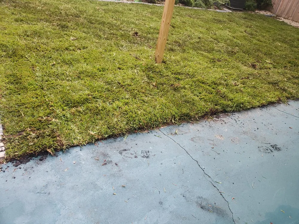 Reliable lawn mowing service for homes in Tampa, FL by Pats Sod Service
