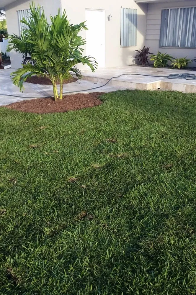 Professional yard cleanup service experts serving Tampa, FL - Pats Sod Service