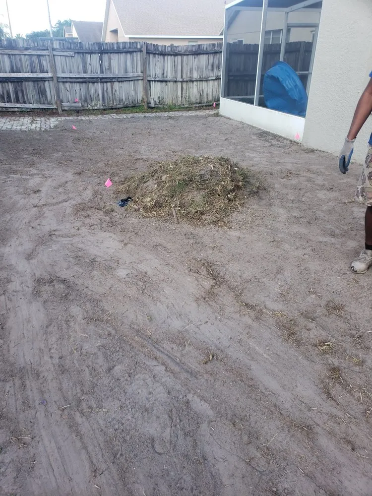 Professional landscaping services for homes across Tampa, FL - Pats Sod Service