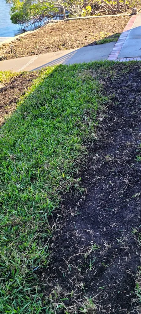 Custom landscape installation for homes across Tampa, FL - Pats Sod Service