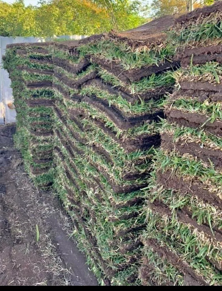 Reliable garden landscaping for residential properties in Tampa, FL by Pats Sod Service