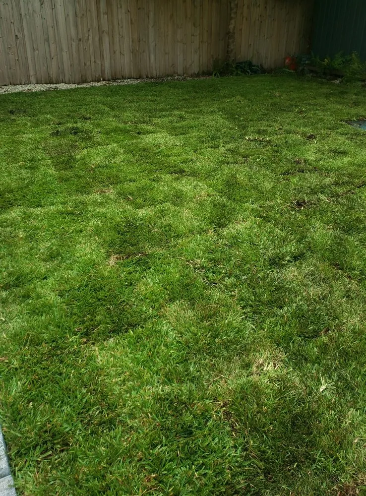 Professional yard cleanup service in Tampa, FL - Pats Sod Service