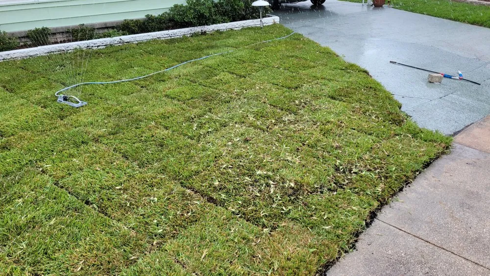 Affordable landscaping services for year-round maintenance in Tampa, FL by Pats Sod Service