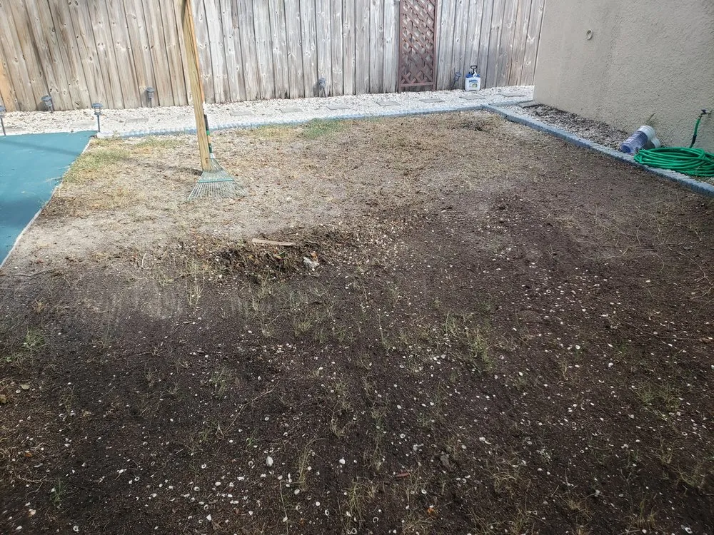 Professional lawn care service experts serving Tampa, FL - Pats Sod Service