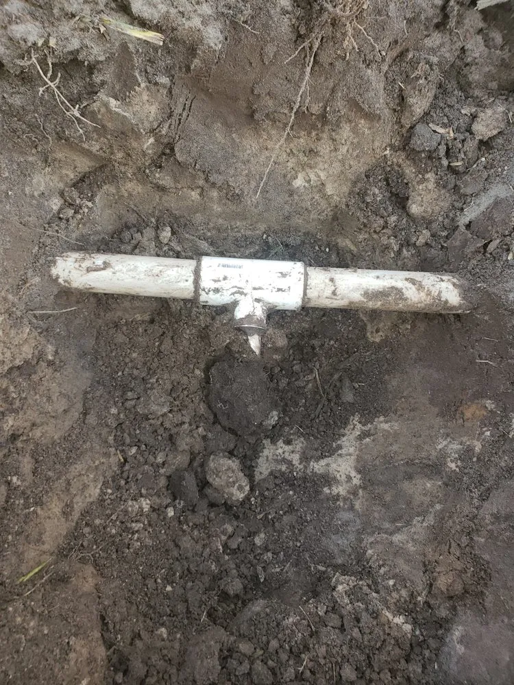 Expert yard cleanup service in Tampa, FL by Pats Sod Service